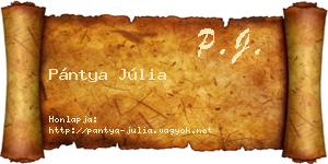 Pántya Júlia névjegykártya